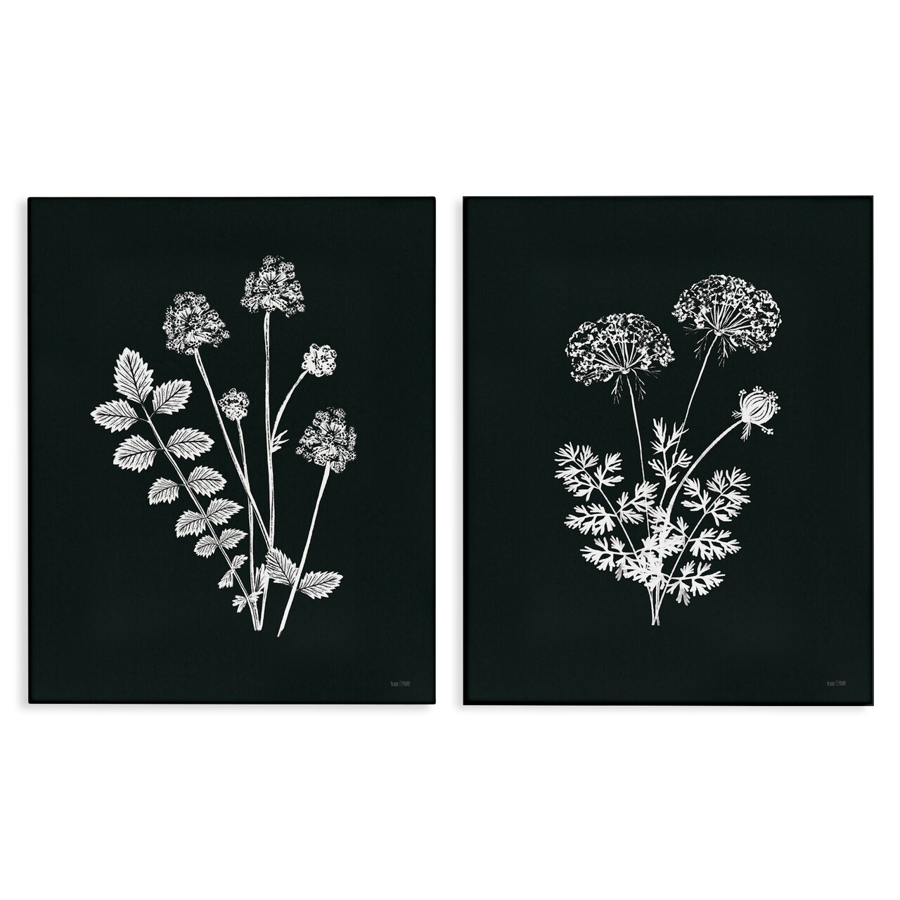 Stupell Industries Black and White Flower Cluster 2 pc Canvas Wall Art Set Design by House Fenway